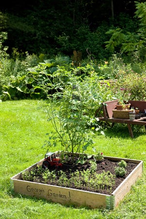A small raised bed is a great project for a child.
