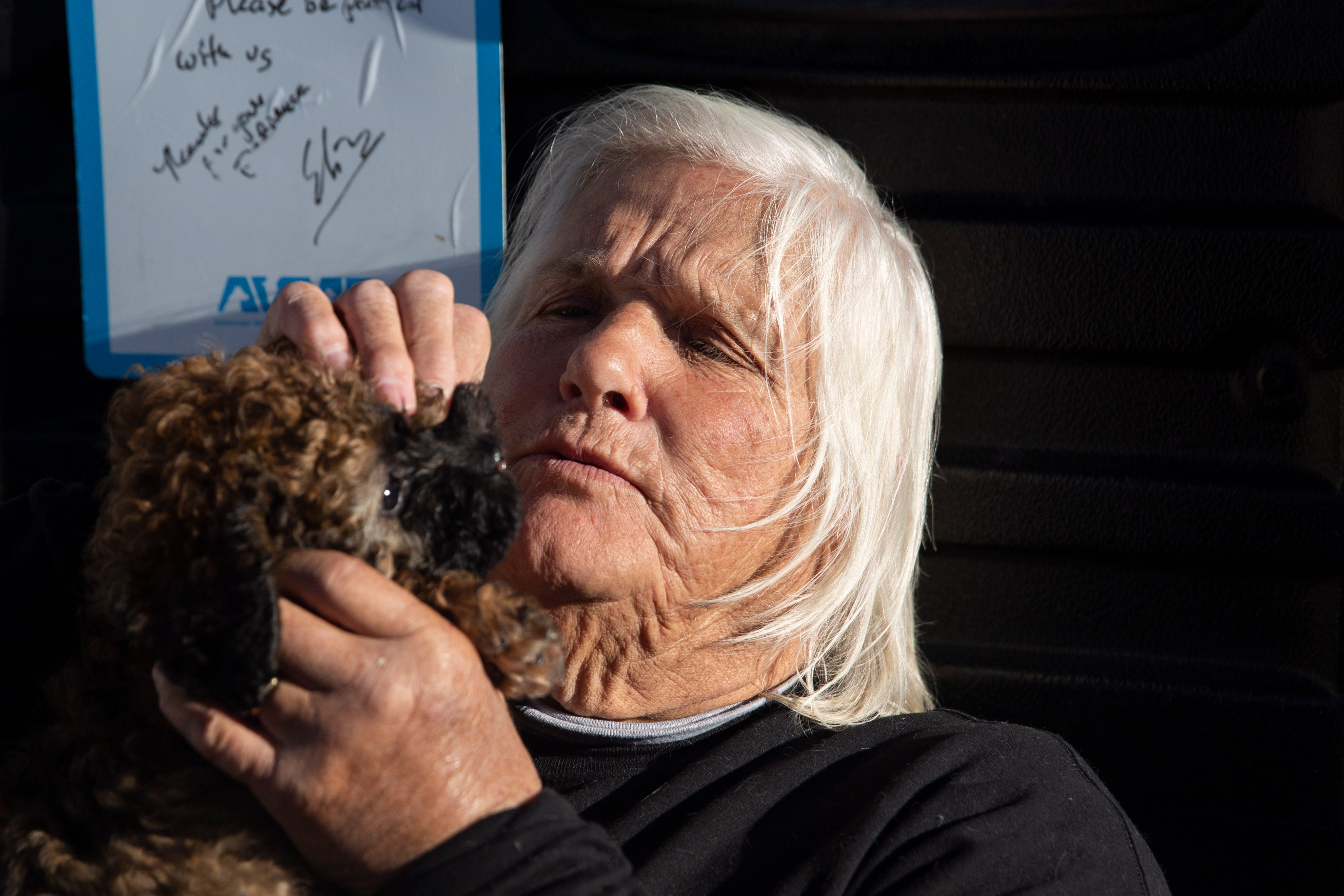 Mesquite Animal Vaccination Clinic