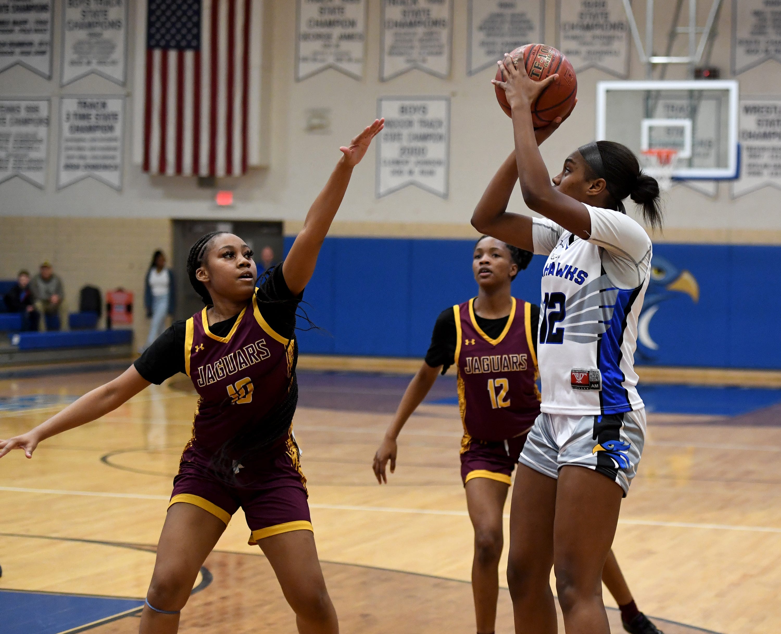 Decatur girls roll to big basketball win over Washington: PHOTOS