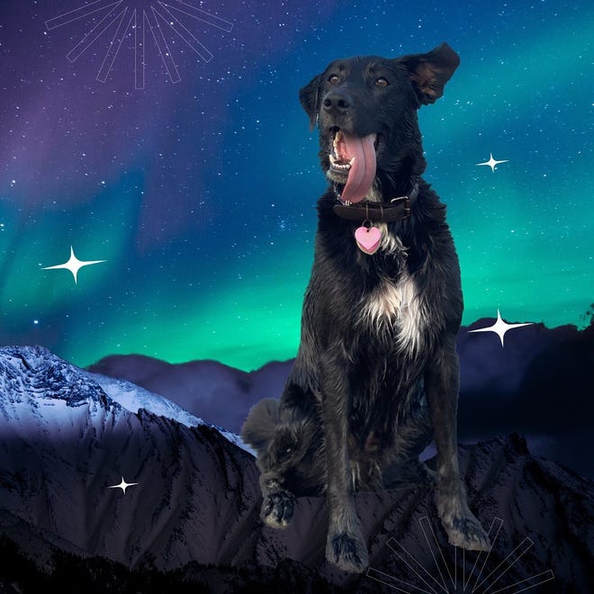 Can my phone do that? Find hidden apps and hacks on your smartphone. Can my phone do that? Find hidden apps and hacks on your smartphone.