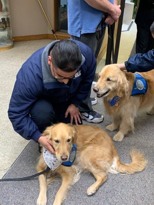 The LCC K‐9 Comfort Dog Ministry's friendly golden retrievers greet a man in Monterey Park after the dogs' deployment there this week.
