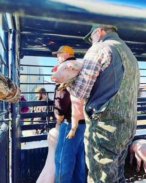 Jan. 14 was Northeast Alabama 4-H Pig Squeal Pickup Day for participants.