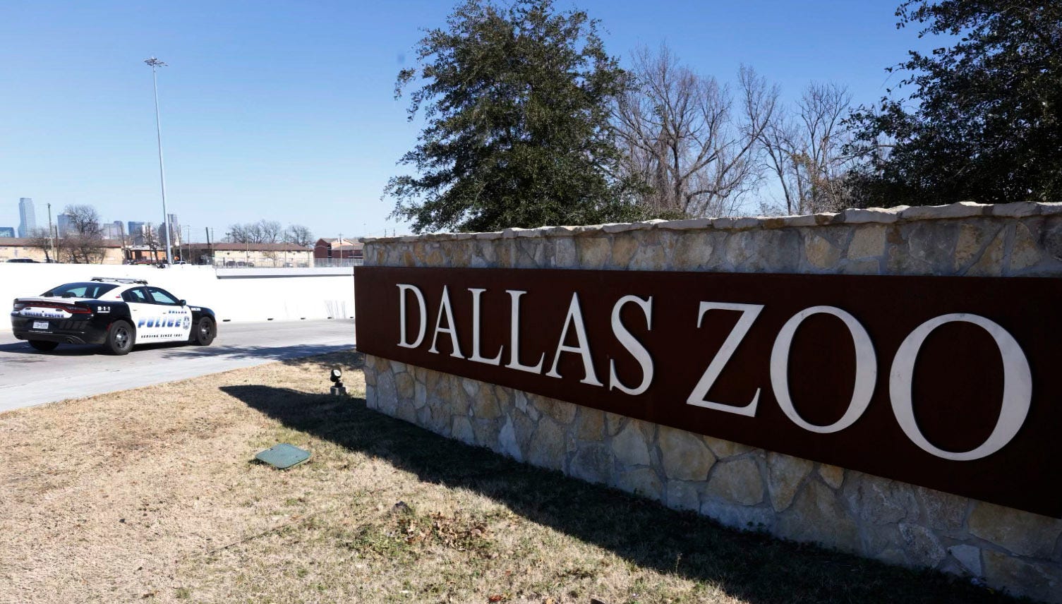 Suspect in Dallas Zoo's missing animal mysteries arrested, facing animal cruelty charges