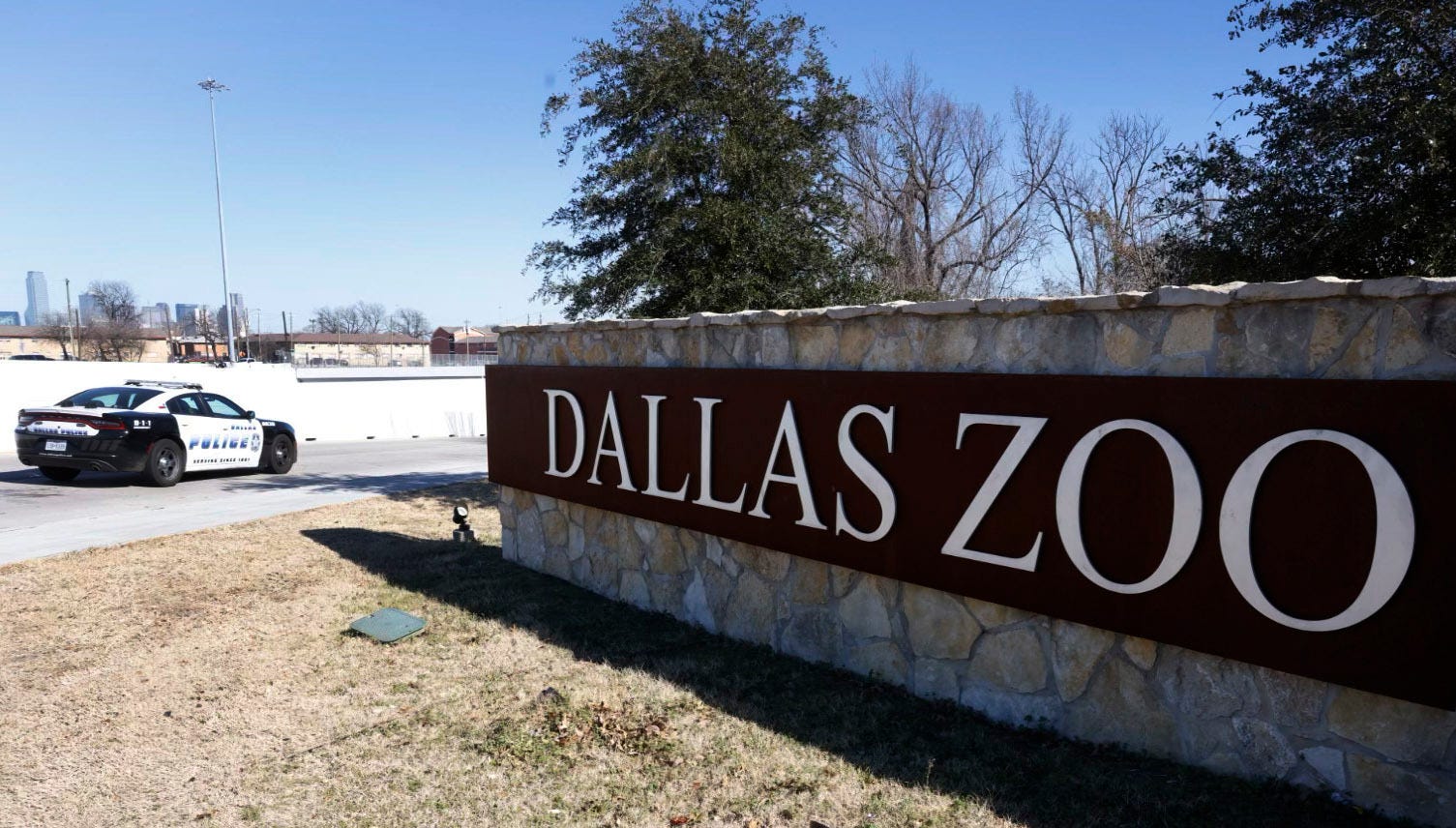 Stolen monkeys: Suspect arrested in case involving animals taken from Dallas Zoo