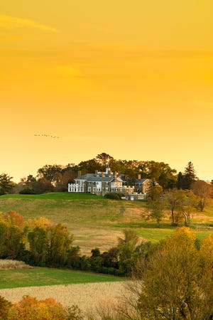 Longwood Gardens has entered into a binding agreement with the Granogue Reserve Ltd. LLC to acquire and operate the late Irénée “Brip” and Barbara “Barbie” du Pont's Granogue estate that sits on a hillside near Centreville off Smith Bridge Road in New Castle County.