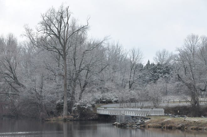 Patches of snow cover trees along the banks of Garrisons Lake near Route 13 south of Smyrna Feb. 1, 2023.