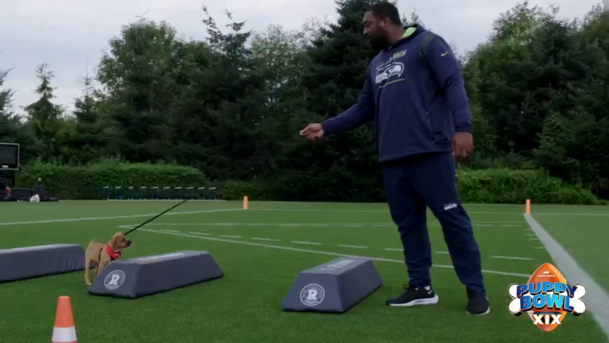 Watch: Puppy Bowl pooch Cooper gets training with Seattle Seahawks star Shelby Harris