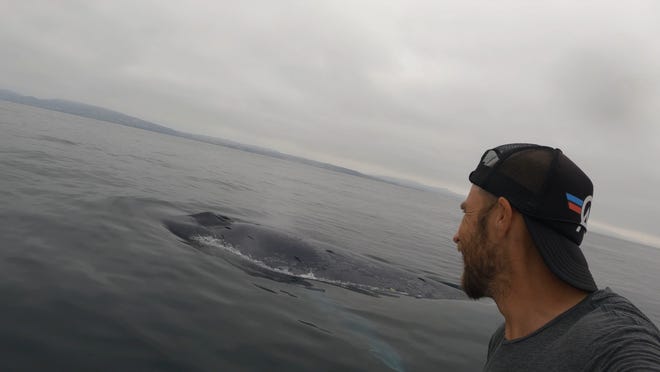 Bill Clements snapped this selfie with a blue whale he came across while paddleboarding off the coast of Dana Point in Southern California in August 2022.