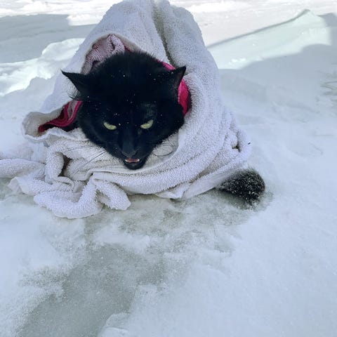 Freezy, as she was found by Jenay Chartier with th