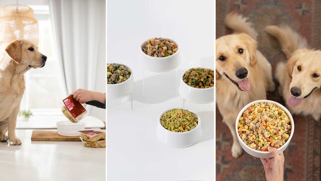 Get 50{95b18eb6fc4f42efd0d92738dfc3fb79fde21da267a711ecdf0381147c27bb86} off your first healthy dog food order