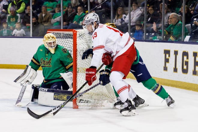 Ohio State forward Stephen Halliday (19) shoots the puck on Notre Dame goaltender Ryan Bischel (30) during the Ohio State-Notre Dame NCAA hockey game on Saturday, February 11, 2023, at Compton Family Ice Arena in South Bend, Indiana.