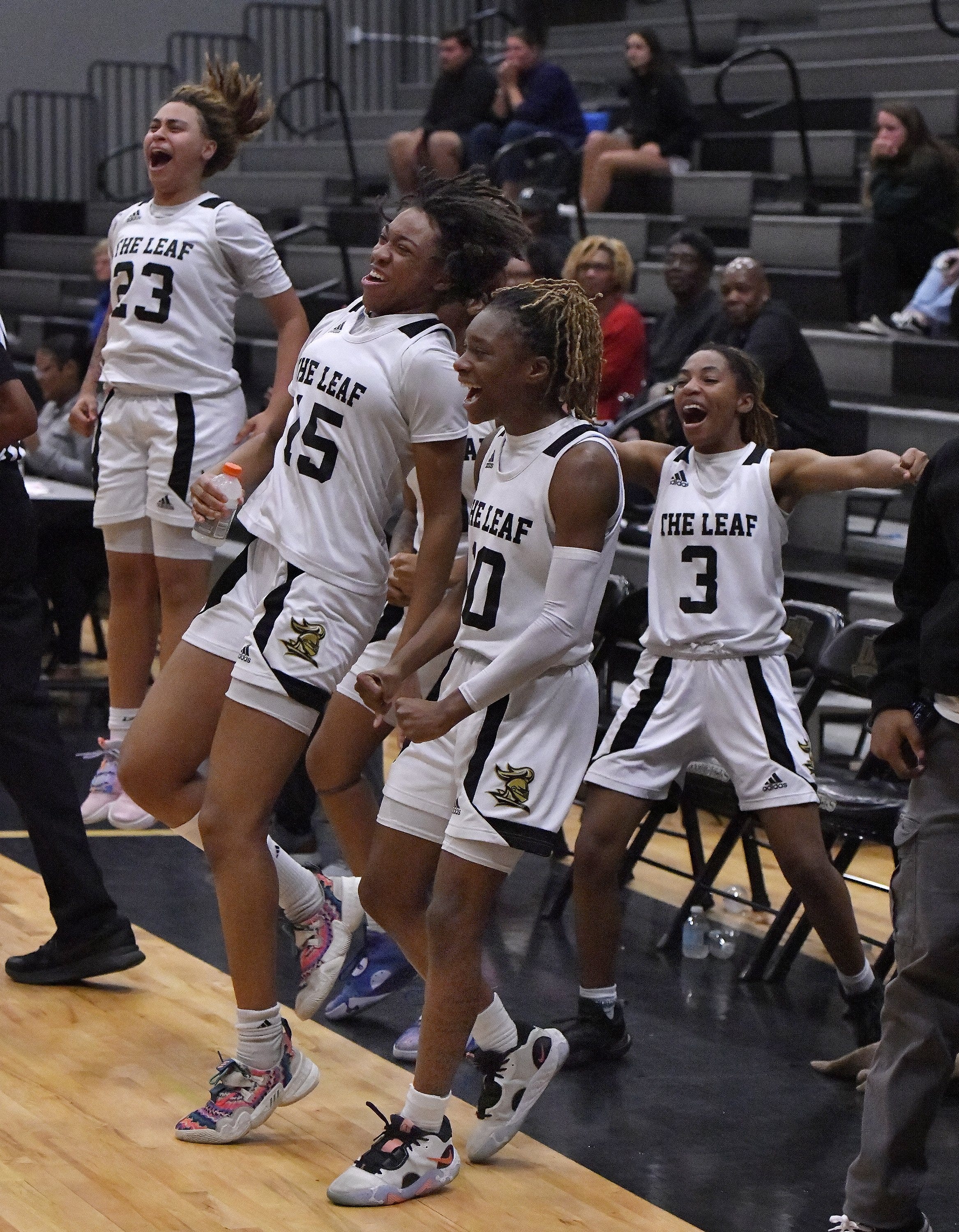 High school girls basketball 2023 Jacksonville regional final playoff