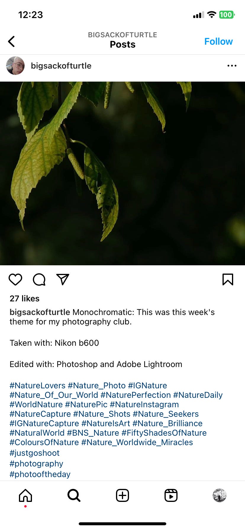 Screenshots show photos shared on David Kleeba's instagram page. He enjoyed photographing plants, architecture and his friends.