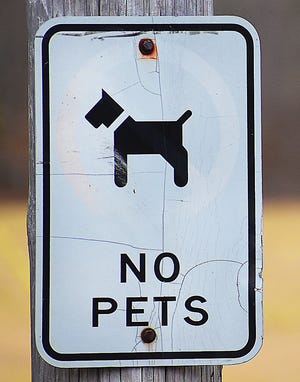 Dog park in Somerset is on hold, but the town will allow dogs