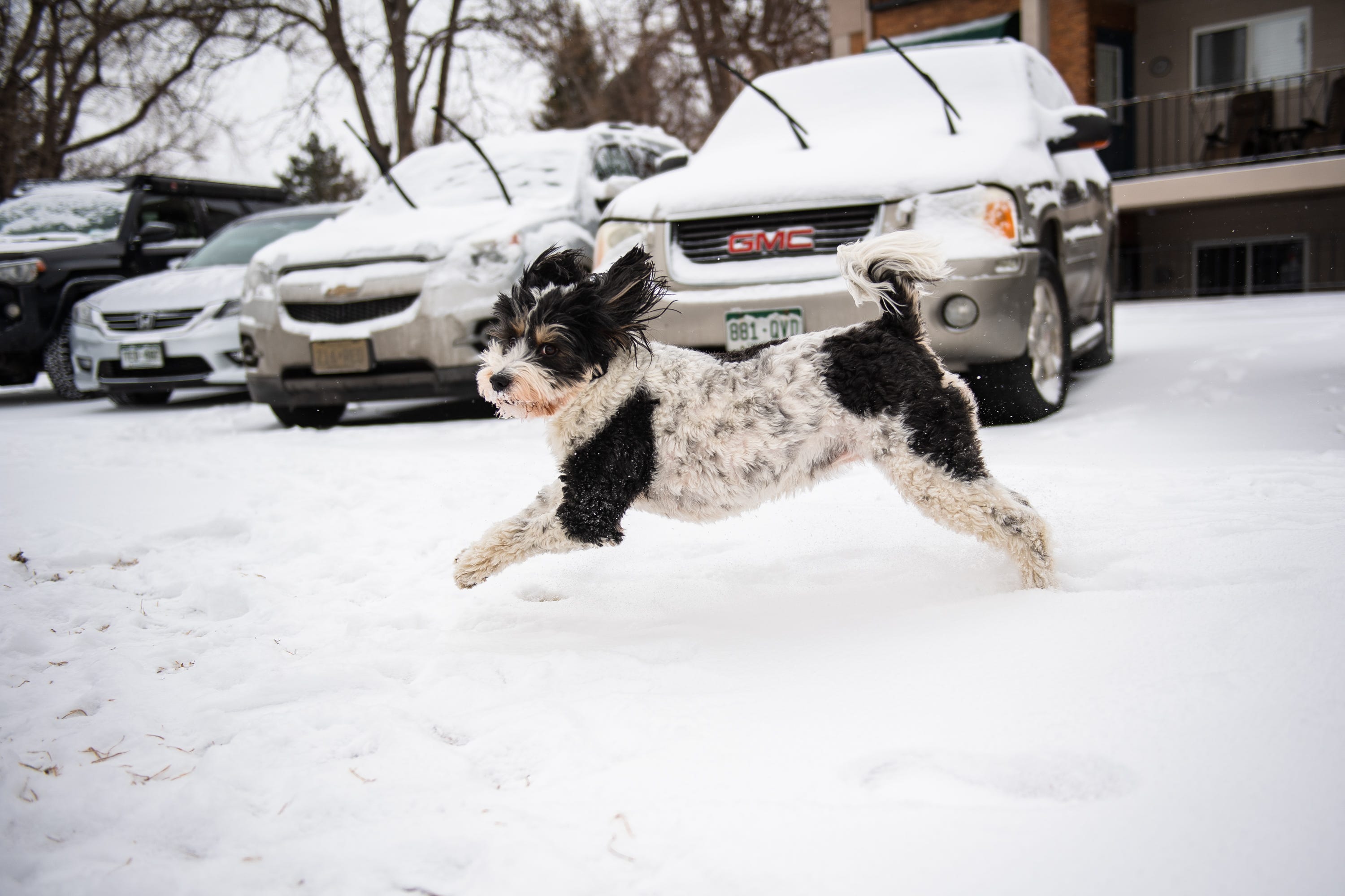 Here are Fort Collinsarea Colorado snow totals from Wednesday storm
