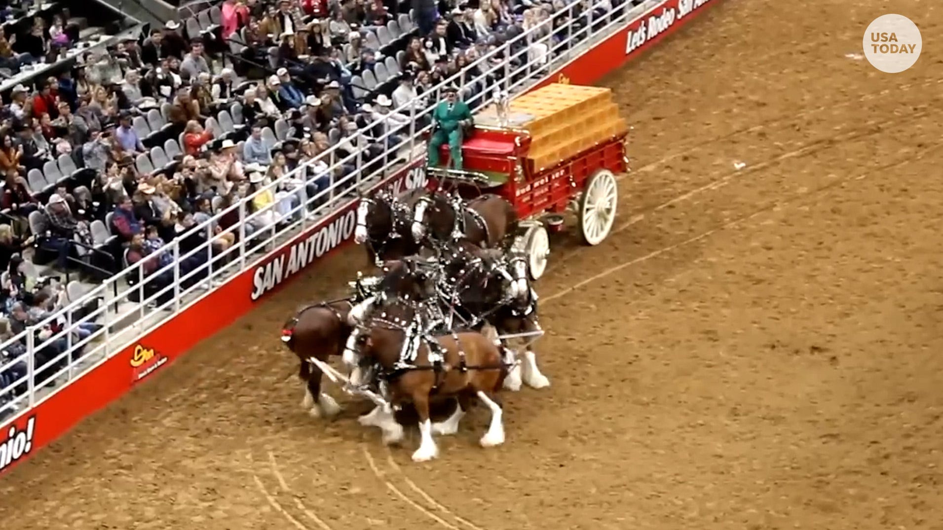 Video Budweiser Clydesdales Get Tangled Up At San Antonio Rodeo video-budweiser-clydesdales-get-tangled-up-at-san-antonio-rodeo