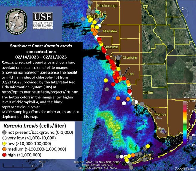 Red Tide Advisory Issued For Sarasota And Manatee Counties red-tide-advisory-issued-for-sarasota-and-manatee-counties