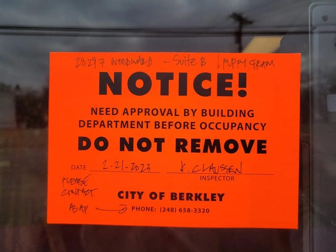 Berkley officers to draft cat, pet canine retail ordinance amid considerations over pet retail outlet