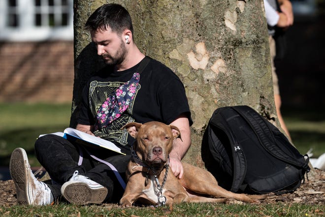 A University of Delaware student enjoys a read with his dog on a sunny and warm winter day in Newark, Thursday, Feb. 23, 2023.