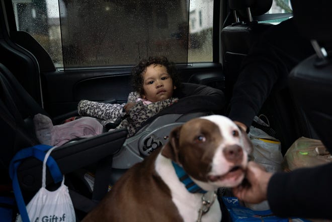 Dog saves baby from house fire in Detroit, family struggles to recover Dog saves baby from house fire in Detroit, family struggles to recover