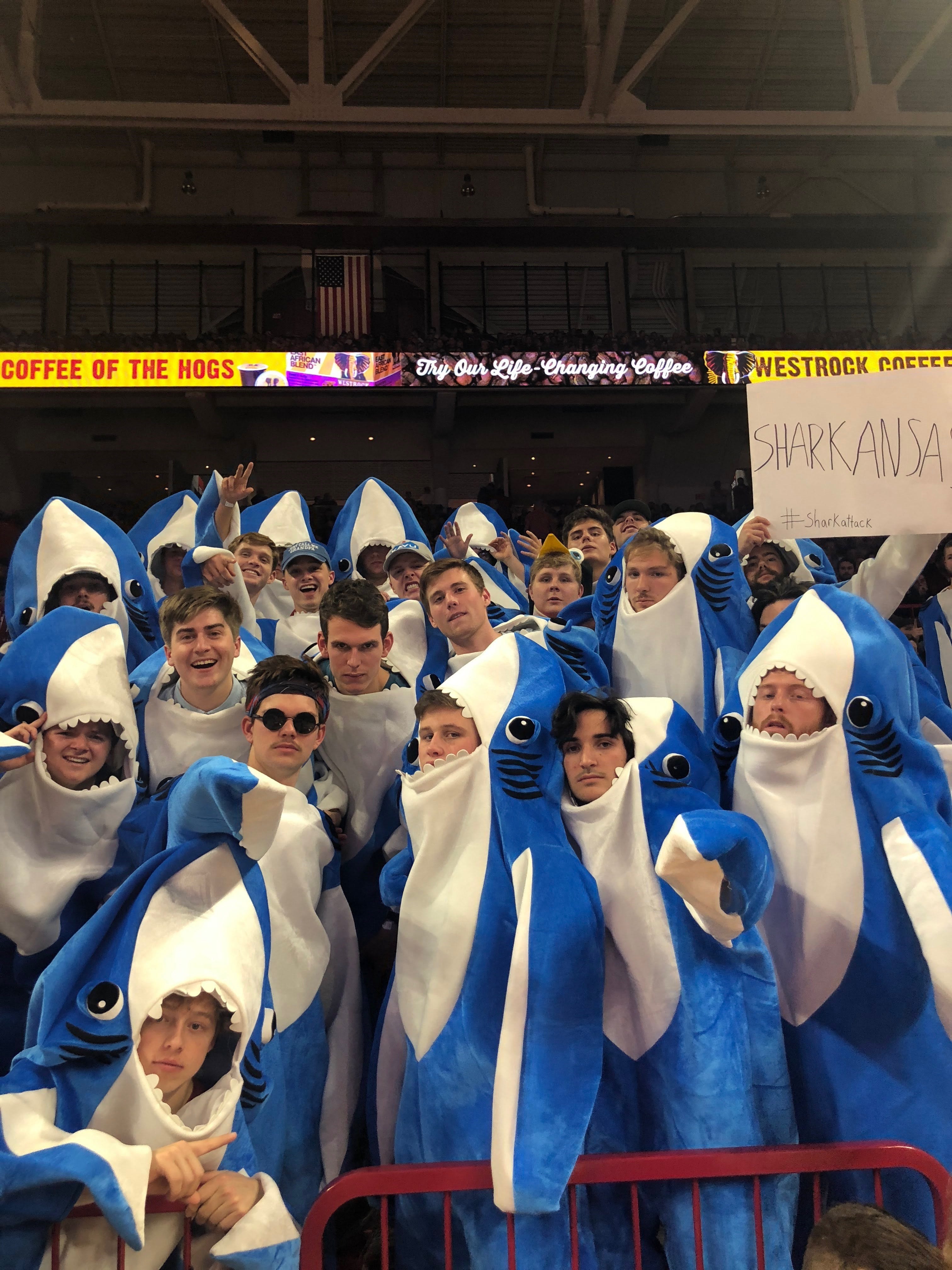 Why Arkansas students wear shark costumes for Kentucky basketball game