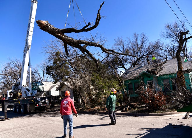 Workers from Thornton's Tree Service lift the fallen trunk of a tree after strong winds had toppled it into the front yard of an Abilene home in the 1200 block of South 13th Street on Feb. 22. High winds are expected to affect the Big Country again Thursday and Friday.