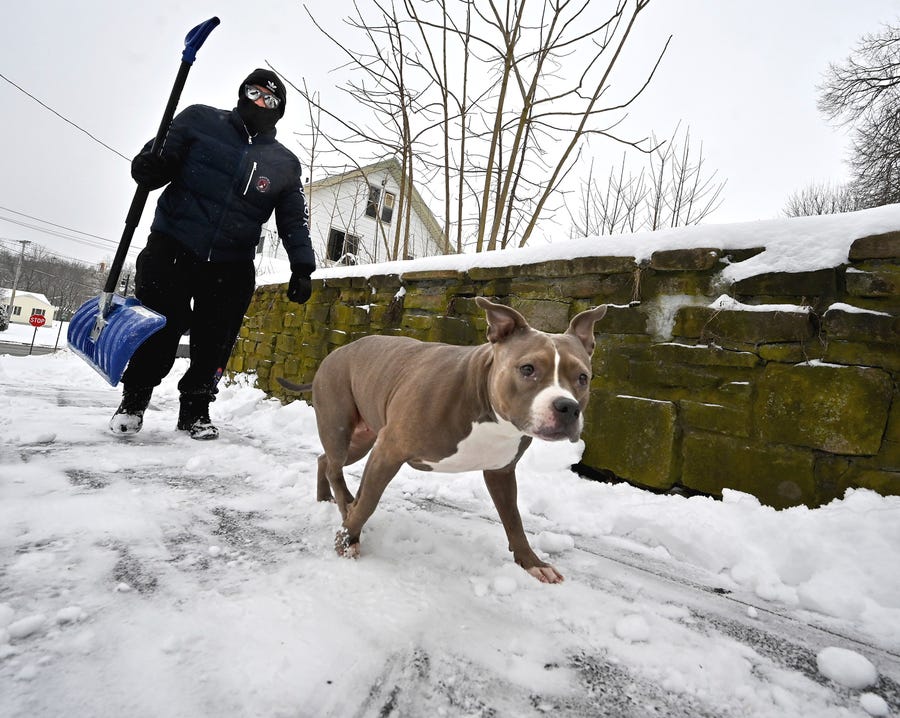 Lou Fernandez and his dog, Lila, finish shoveling their sidewalk on Tatman Street in Worcester, Mass., during a winter storm, Tuesday morning, Feb. 28.