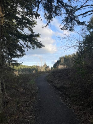 Ribbon Trail to Floral Hill is a 1.6 mile trail winding through the mature forest of Hendricks Park.