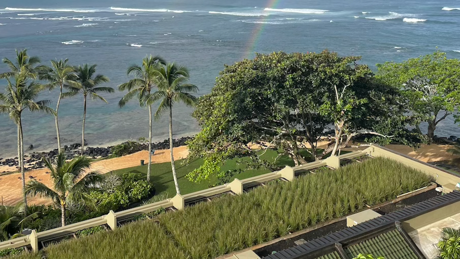 Daily passing rain showers in Hanalei Bay mean rainbows are a common occurrence. At the bottom of the image, indigenous pili grass helps collect stormwater and insulate the building.