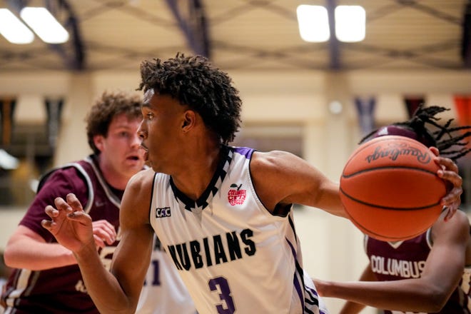 Dailyn Swain and Africentric play Ottawa-Glandorf in a Division III state semifinal Saturday. Swain leads the Nubians in scoring, assists and steals and is second in rebounding.