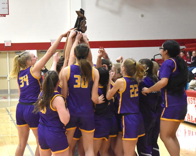 The Bronson Lady Vikings celebrated their second straight Division Three District title on Friday, defeating the White Pigeon Lady Chiefs in the championship held at Constantine High School