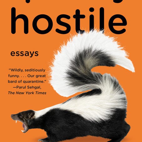 "Quietly Hostile," by Samantha Irby.