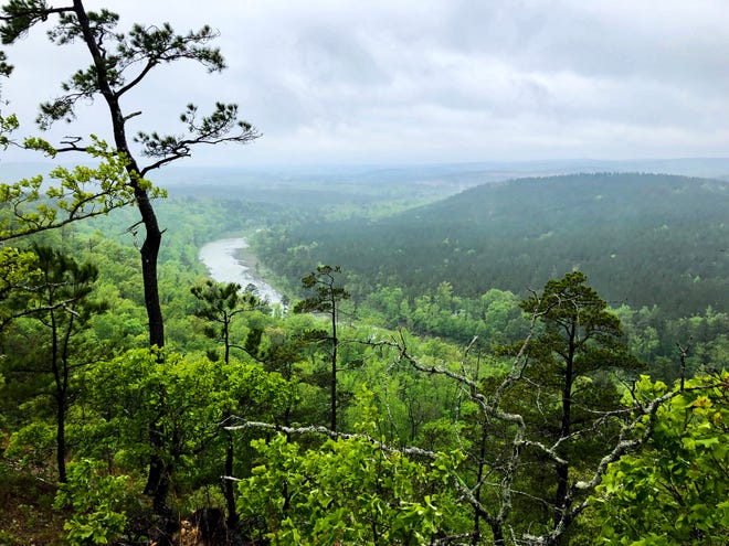 Round Mountain Forest will eventually be an official state forest, Oklahoma's first.