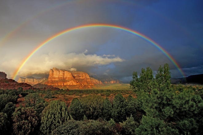 Rain creates its own special fragrance in Arizona — a haunting perfume of creosote that smells like home to many residents.