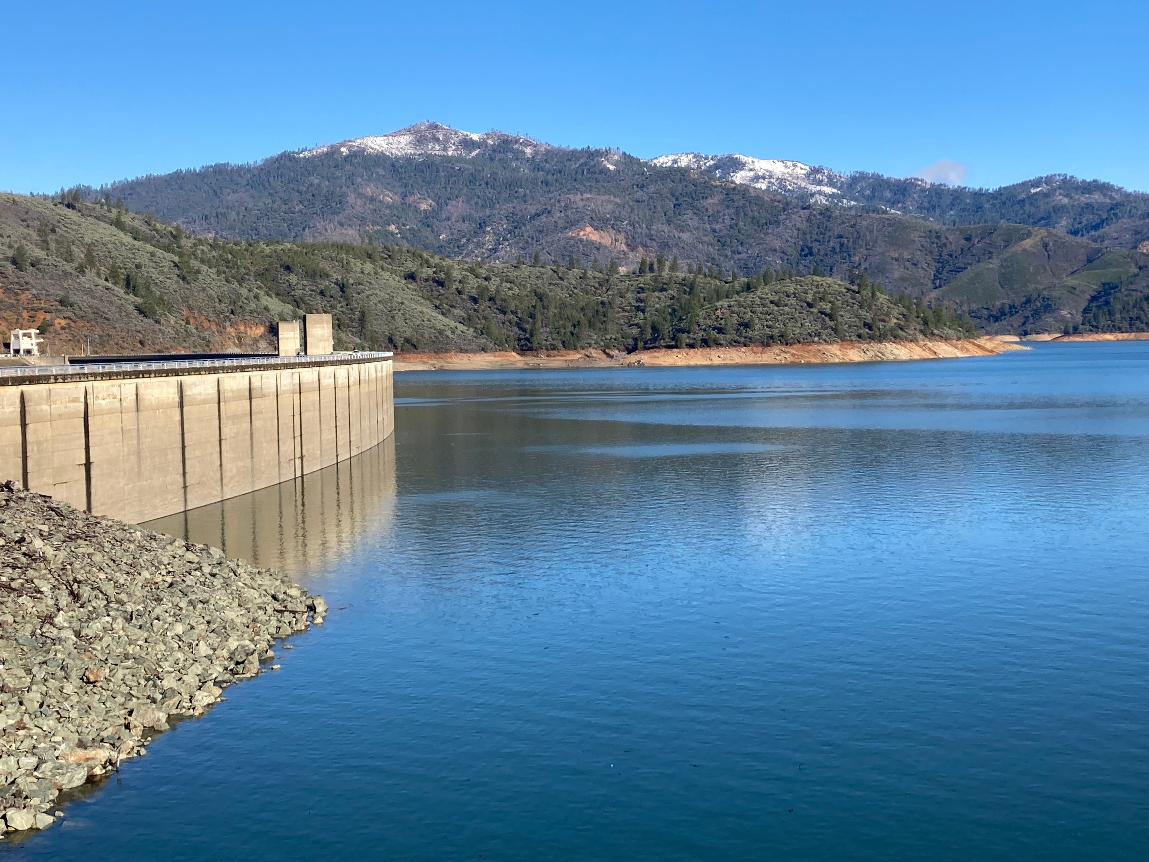 Lake Shasta Water Level