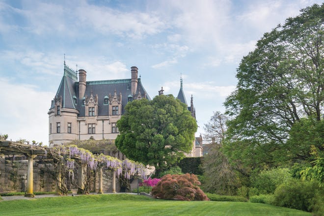 Biltmore è noto per i suoi giardini, tra cui esposizioni di glicine e azalee.