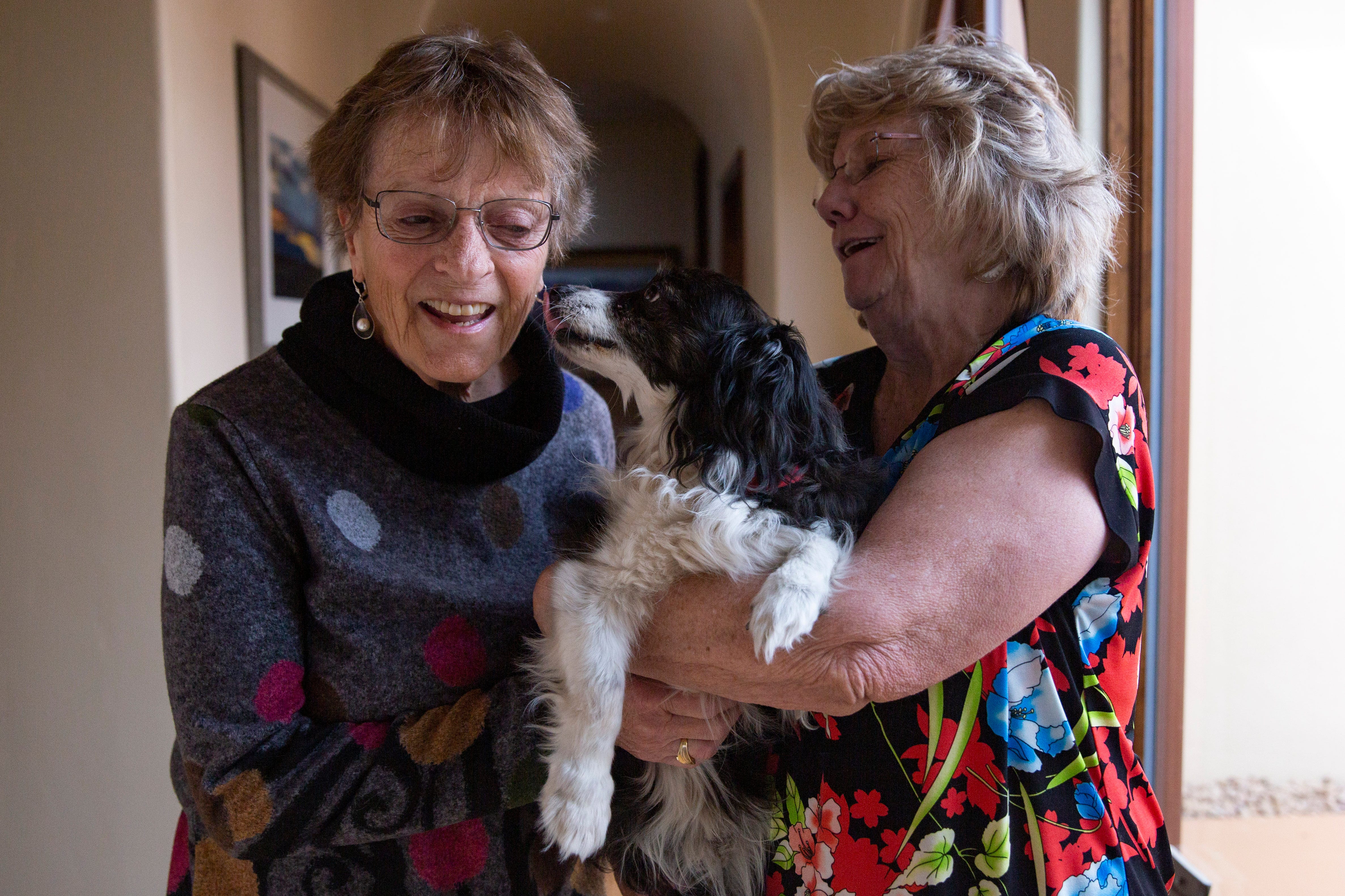 Mikeys mom died in the pandemic Now his new fur moms coparent