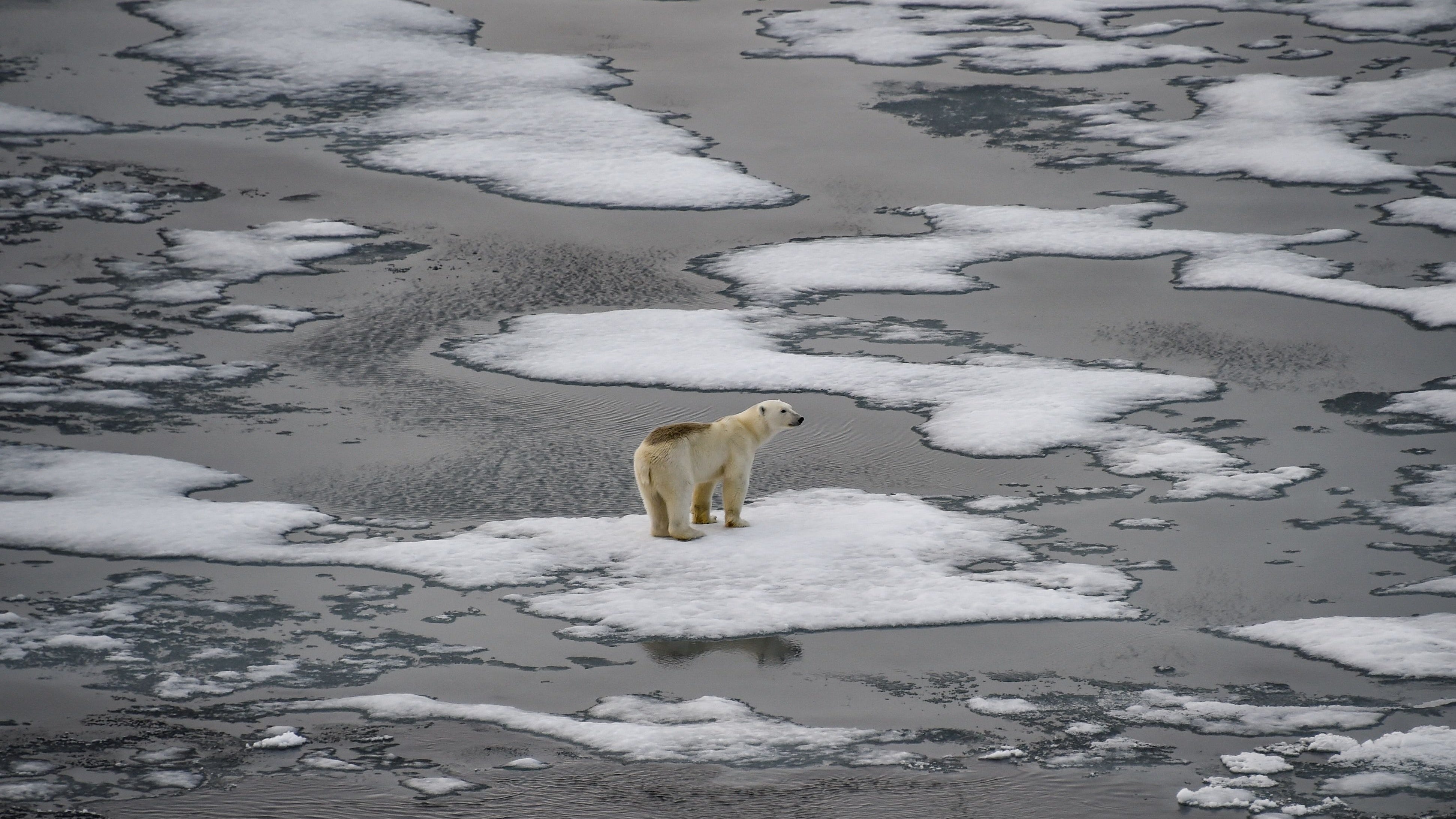 The UN Intergovernmental Panel on Climate Change (IPCC) distilled six landmark reports totalling 10,000 pages prepared by more than 1,000 scientists over the last six years.