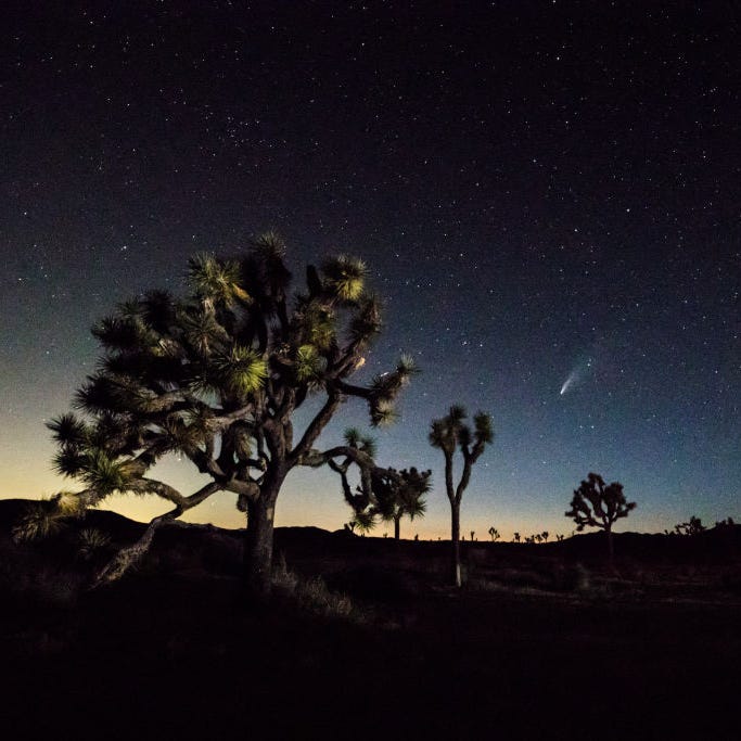 A comet is seen on July 19, 2020 in Joshua Tree.