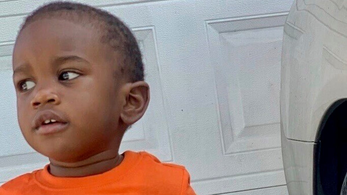 St. Petersburg police find body of missing Florida boy, 2, in mouth of an alligator - USA TODAY St. Petersburg police find body of missing Florida boy, 2, in mouth of an alligator - USA TODAY