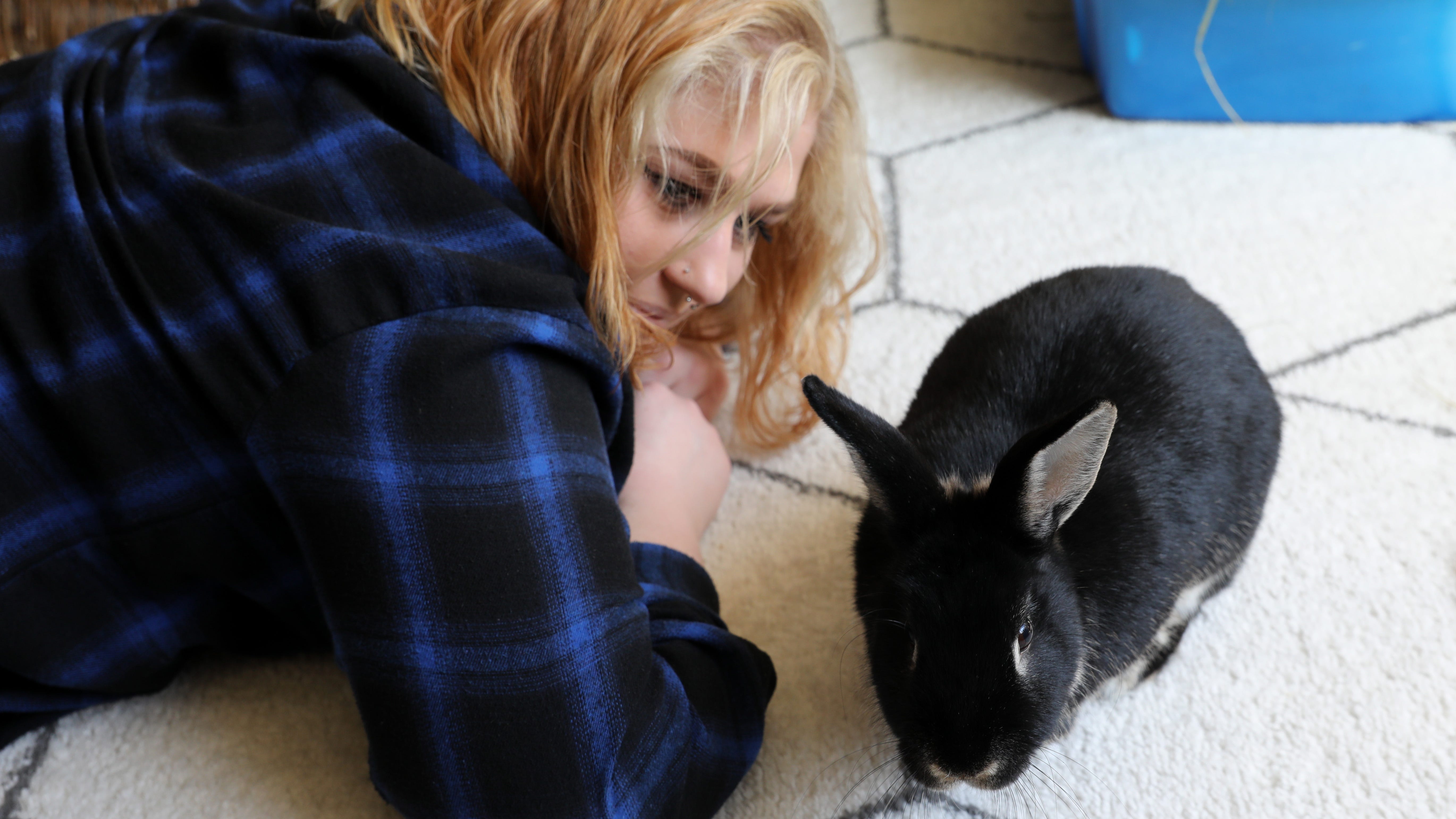 Jessica Serpe, 24, plays with her rabbit Lilia, who she adopted a year ago, at home in White Plains April 3, 2023. Serpe, a law student, always knew she wanted to adopt a rabbit once she had her own place.