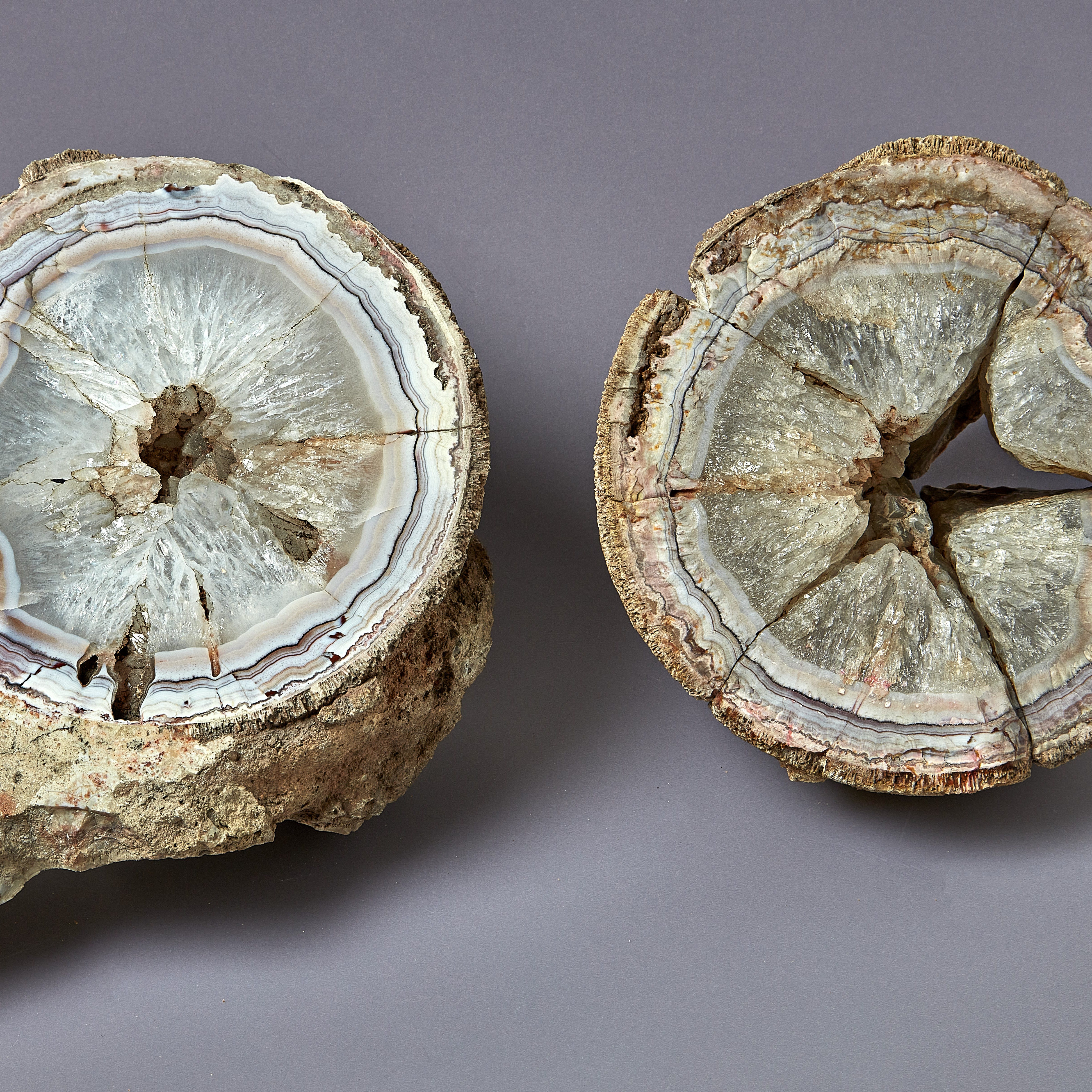 The mineral that formed inside the dinosaur egg.