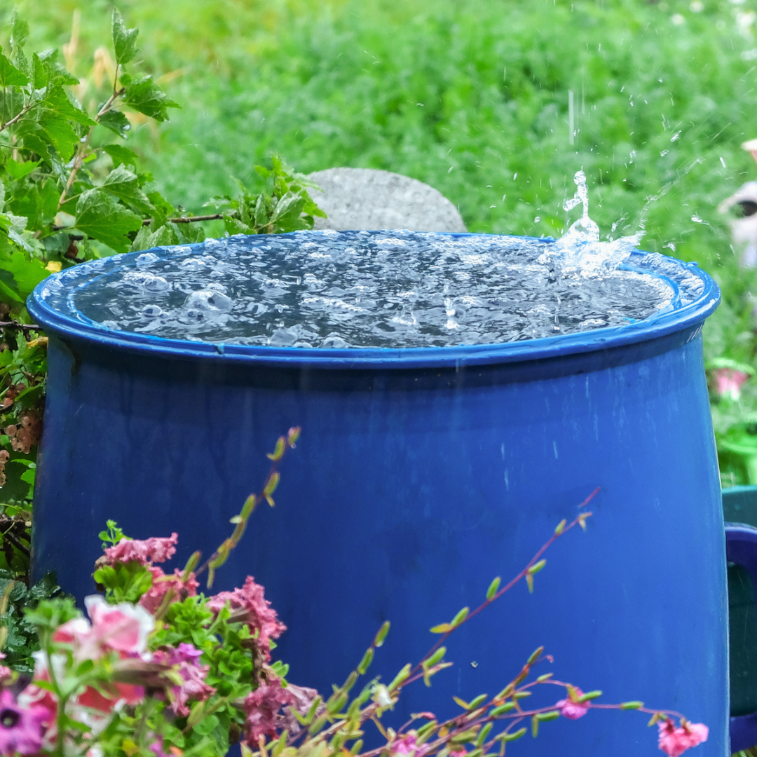 How to use rainwater to live more sustainably