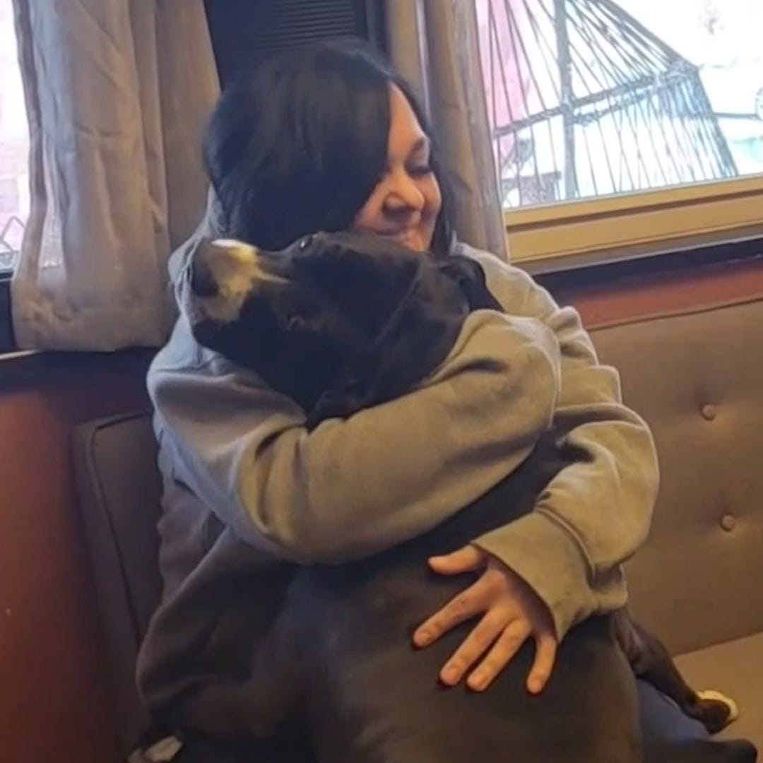 A dog in Northglenn, Colorado, could not contain his excitement and hugs his owner after more than one hundred days apart.