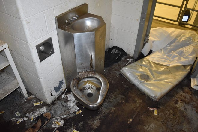 13a679a0-77c4-4c0b-bbdd-a9a74bfd6dd2-bedbugs3 Man 'eaten alive by bugs and mattress bugs' in Atlanta jail cell: Household