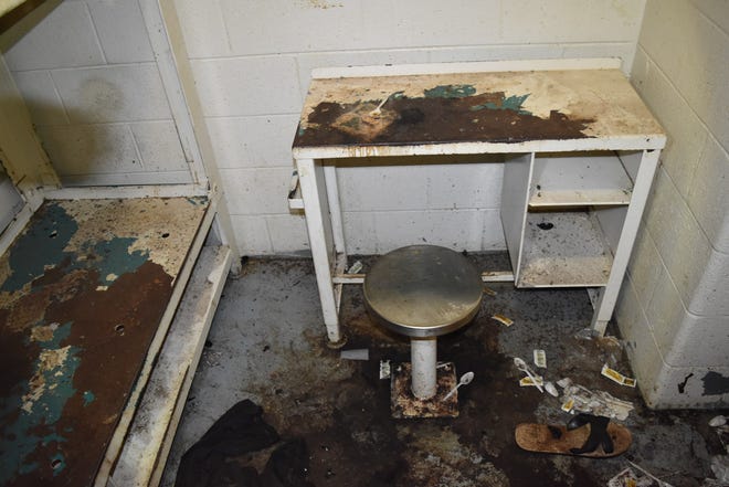 658a0ba5-58f0-4e38-b8c4-741880bd176a-bedbugs2 Man 'eaten alive by bugs and mattress bugs' in Atlanta jail cell: Household