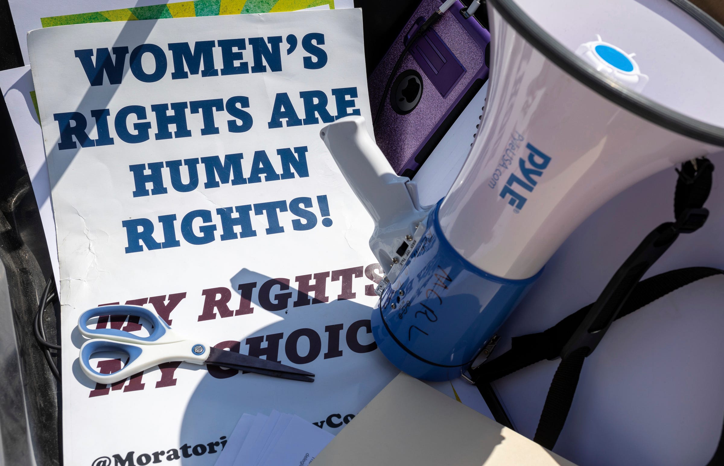 https://www.gannett-cdn.com/presto/2023/04/15/PDTF/588e6834-4e96-4b5e-9db0-09b869fb3308-04152023_DFP_Abortion_R4.jpg?auto=webp&crop=2399,1350,x0,y0&format=pjpg&width=1200