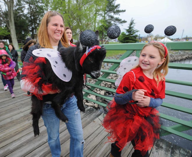 The Bug & Bud Festival will pay tribute to Delaware's state insect (the ladybug) and nature in downtown Milford on Saturday, April 29.