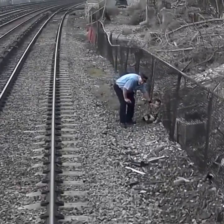 Assistant Conductor Marcus Higgins rescues toddler on train tracks.