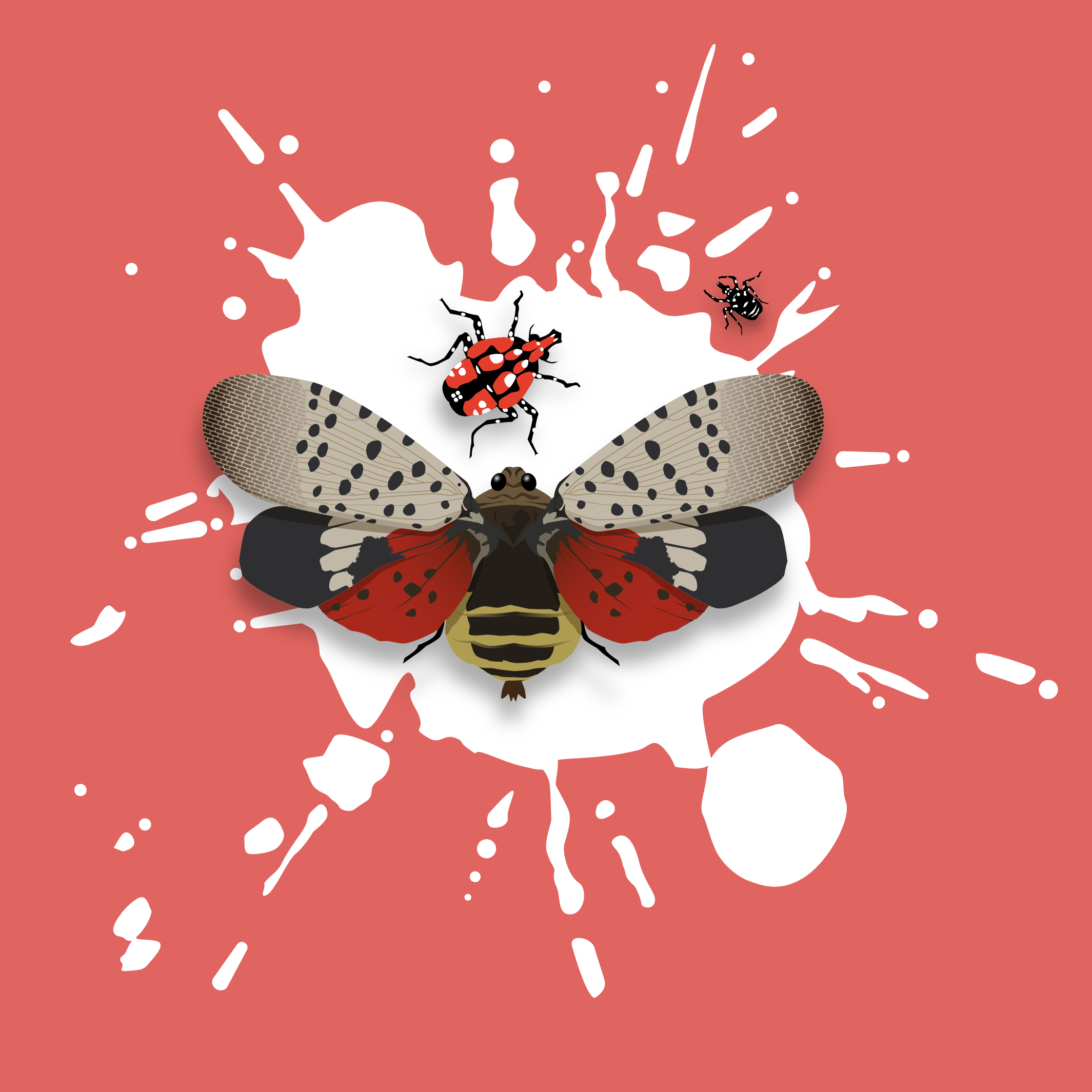 Experts say, "Kill it! Squash it! Smash it!"